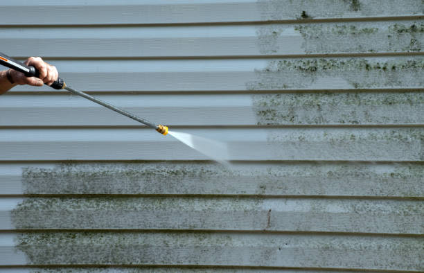 Animal Enclosure Cleaning in Cornelius, OR